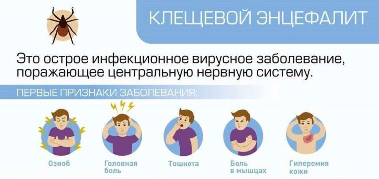 Профилактика клещевого энцефалита.